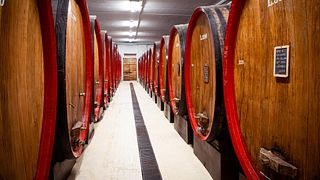 Casa Vinicola Pietro Nera: A Family Tradition in Winemaking