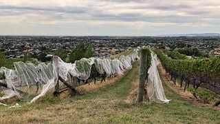 Tironui Estate