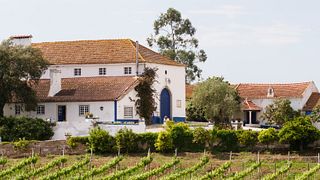 Quinta do Olival da Murta