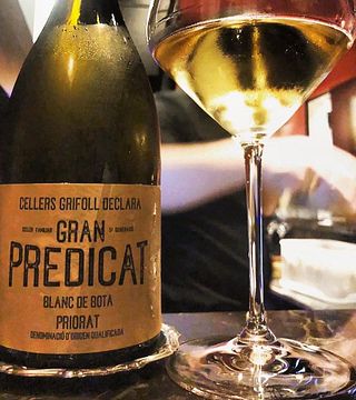 Vinprovning och rundtur på Bodegas Grifoll Declara