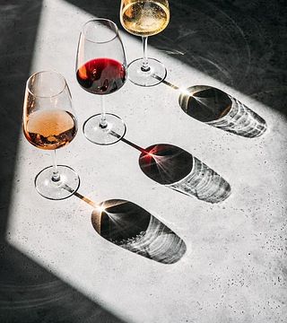 Visite du vignoble Hin Areni