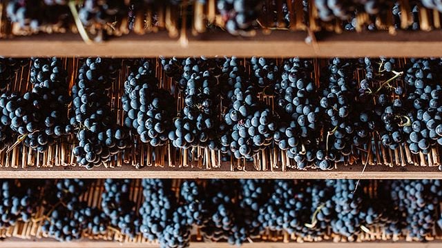 Taste Umbrian Sagrantino Wine & Local Olive Oil