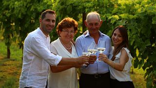Stroll Veneto Vineyards & Taste Prosecco