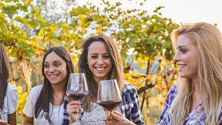 Entdecken Sie Roero – Ein einzigartiges Weinabenteuer mit einem professionellen Sommelier