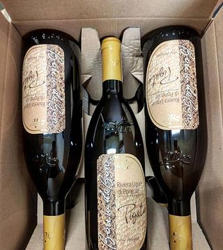Cata de vinos en Bio Vio