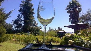 Vinprovning och rundtur på Mellasat Vineyards