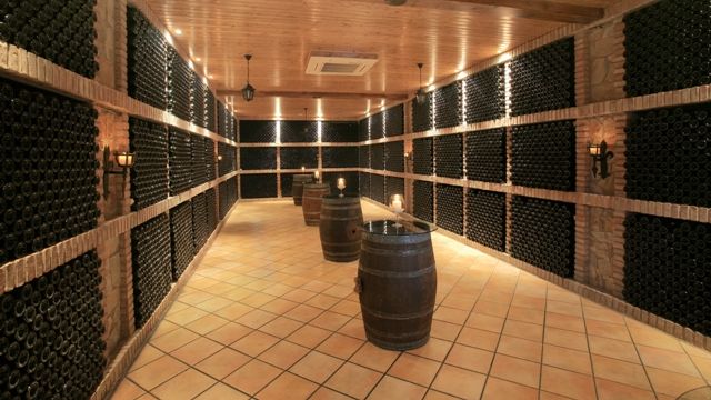 Vinprovning och rundtur på Bodegas Alvia
