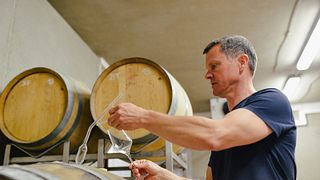Cata de vinos y visita guiada en Bio-Dynamisches Weingut Tauss