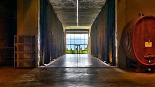 Feudi Studi – Visite, Vins et Saveurs Hirpiniennes