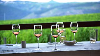 Weinprobe und Tour im Quinta Do Portal