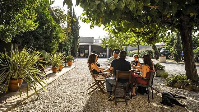 Goûter le passé, profiter du présent | Domaine viticole Mas Comtal