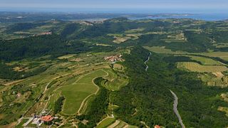 Cata de vinos y visita a Bodega Santomas