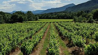 Terre des 2 Sources