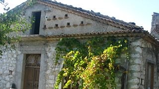Stefania Barbot Winery