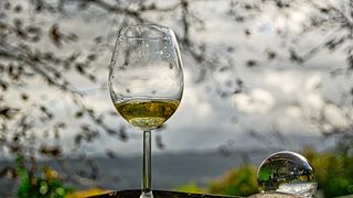 Visita à vinícola e degustação de vinhos na Bodega Torgo