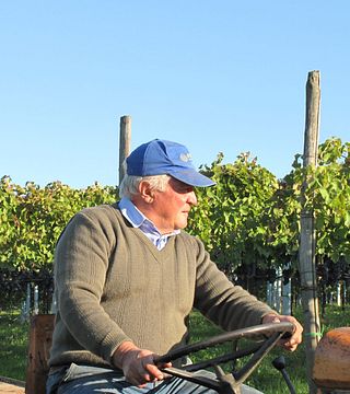 Il Cancelliere Winery