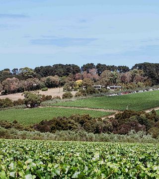 Montalto Winery