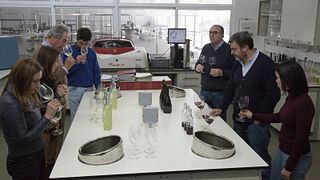 Degustazione e tour di vini premium a João Portugal Ramos