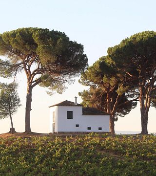 Dégustation de vins haut de gamme et visite à Cantariña Vinos de Familia