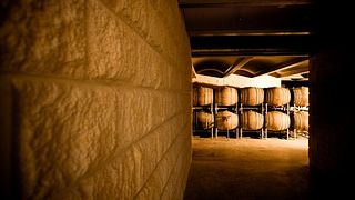 Weinprobe und Tour im Ocean Eight