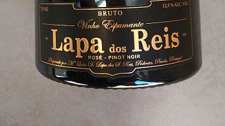 Vinprovning och rundtur på Lapa Dos Reis