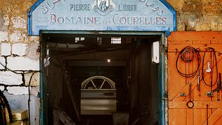 Degustazione di vini e tour al Domaine des Tourelles