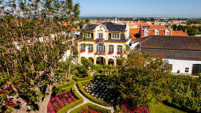 Dégustation et visite de 3 vins super premium au manoir José Maria Da Fonseca