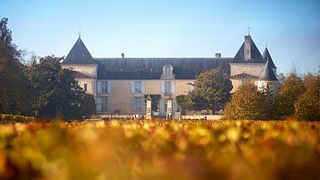 Degustazione di vini e visita allo Château Suduiraut