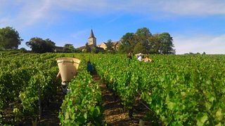 Degustazione di vini e tour a Gaec Venot