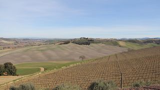 BRUNELLO TASTING AND GUIDED TOUR