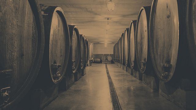 Degustazione e tour di vini presso Grimaldi Luigino & CSNC