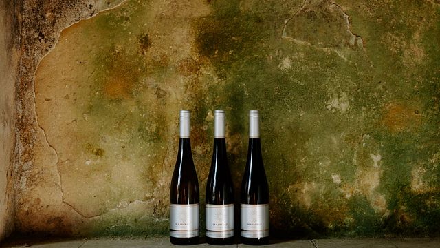 Dégustation de vins exclusive et visite de cave à Holdvolgy