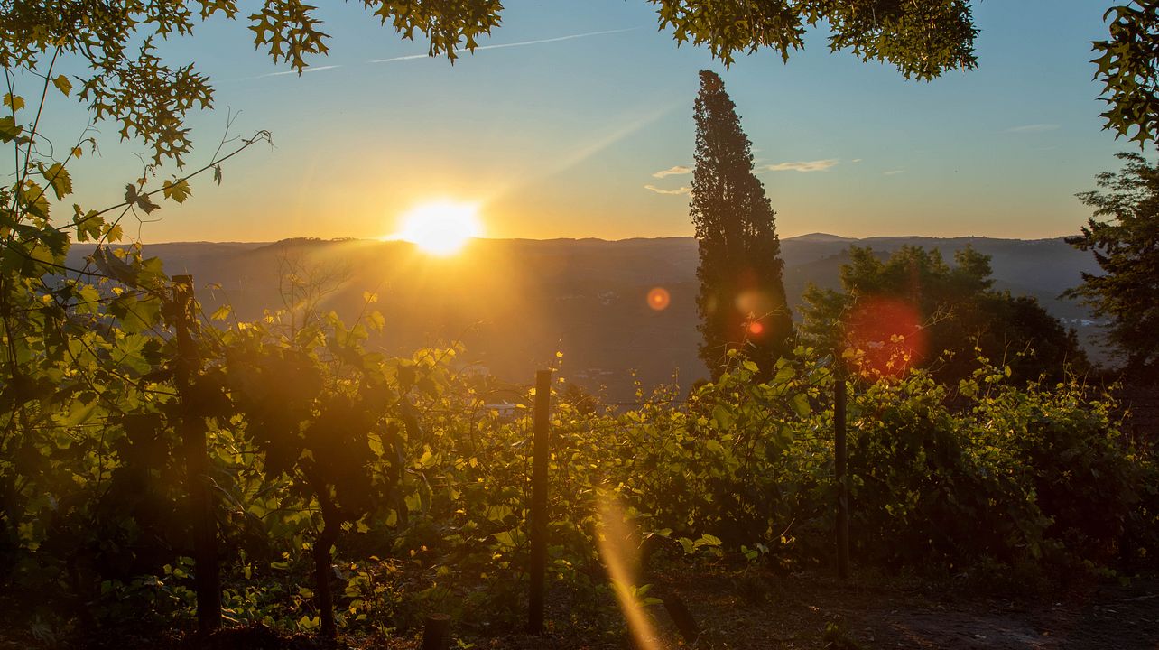 Quinta de Santa Júlia