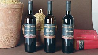 Degustazione e tour di vini presso Frazzitta Vini