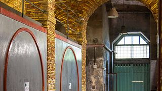 Visita a la bodega, clase de cocina, cata de vinos y almuerzo.