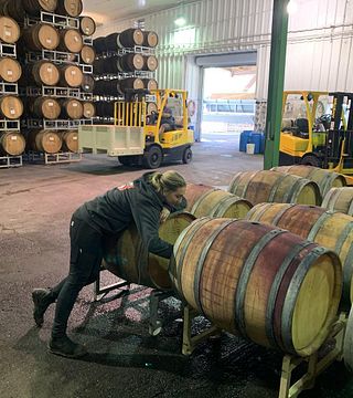 Weinprobe und Tour bei Graziano Family of Wines