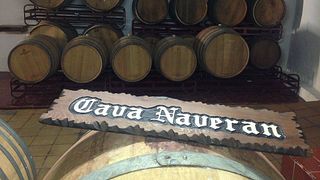 Degustazione di vini popolare a Cavas Naveran