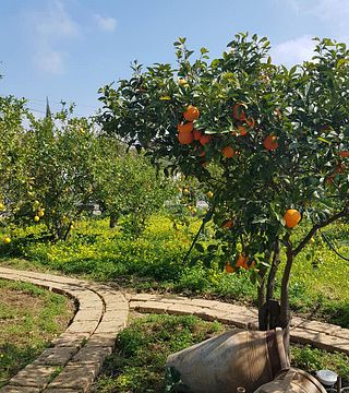 Weinprobe und Tour bei Limonio