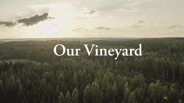 Ainoa Winery: A Taste of Finnish Nature