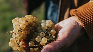 Taste and Tour at Entre-Deux-Monts