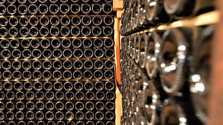 Premium-Weinprobe und Tour bei Sandro De Bruno