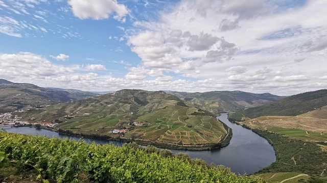 Gusto del Douro