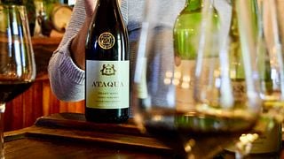Degustazione di vini presso la tenuta PaardenKloof