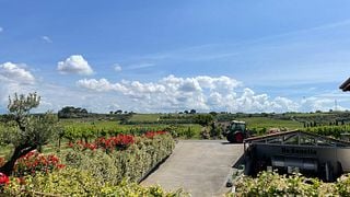 Dégustation et survol des vignobles de Frascati