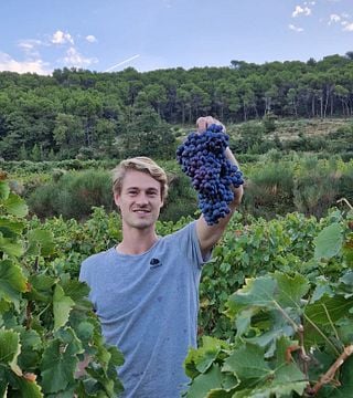Cata de vinos y visita al Château Cohola