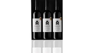 Dégustation de vin simple au domaine viticole Azamor