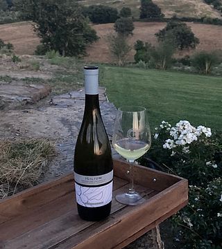 Azienda Agricola Purovino