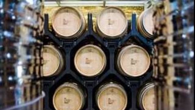 Dégustation de vins et visite de la cave Bargiela Bienati