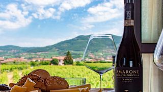 Degustação de vinhos e passeio com comida típica em La Dama