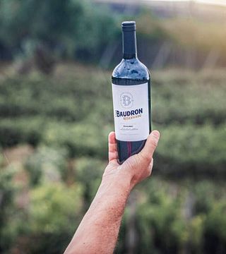 Bodegas Baudron
